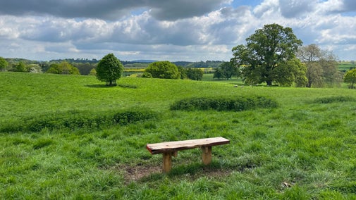 A wooden bench in the foreground, with hills, trees, and fields stretching backwards towards the horizon.